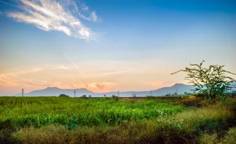 Dawn light in the fields of a village outside city with some nice sky. Stock Photos