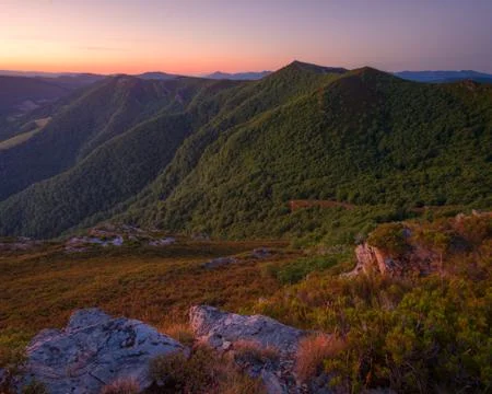 The dawn light illuminates the mountain forests Stock Photos