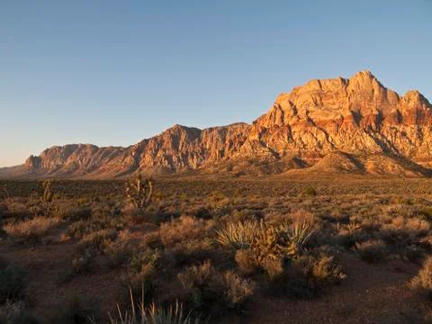 Dawn light nevada desert Stock Photos