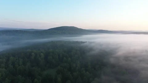 Dawn mist floating over a dense forest with a scenic hill Vídeo Stock 281501624