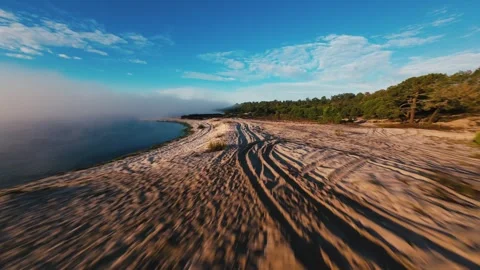 Dawn mist hovers over seaside path with trees and water reflections Stock Footage 340903952