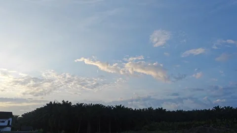 Dawn of a new day. Stock Footage 278880620