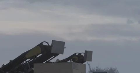 Dawn olive transportation process 스톡 동영상 143963681