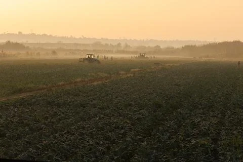 Dawn over crop fields with unrecognizable farmers and tractors Stock Photos