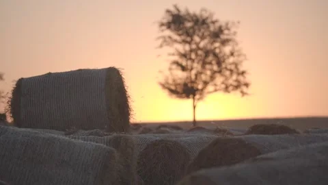 Dawn over a field with haystacks. Stock Footage 139641602