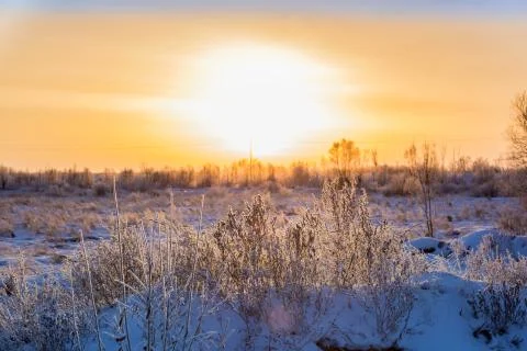 Dawn over the floodplain of the river 写真素材