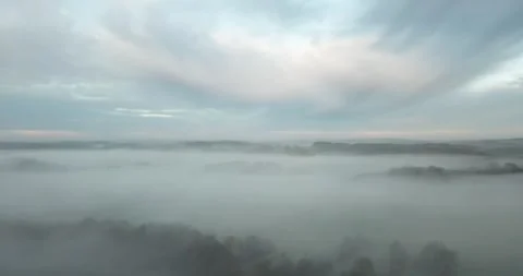 Dawn over forest and meadow Stock Footage 293595964