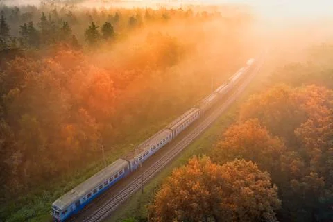 Dawn over the forest through which the railway line runs. Stock Photos