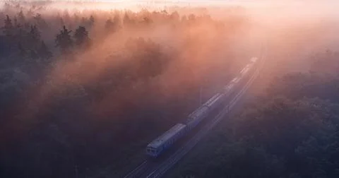 Dawn over the forest through which the railway line runs. Stock Photos