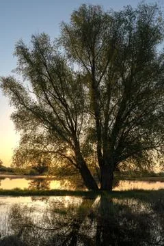Dawn over the lake. Beautiful evening blue sky at sunset with flaming bright  Stock Photos