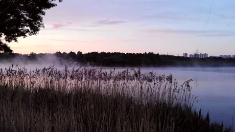 Dawn over the lake Video stock 141127873