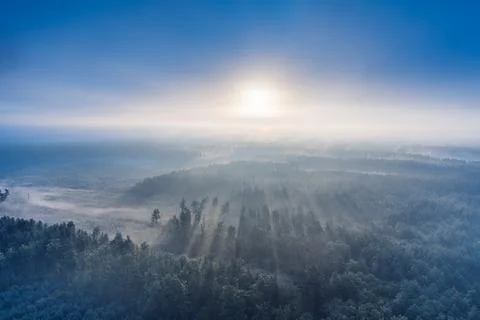 Dawn over the misty forest. View from the drone Stock Photos