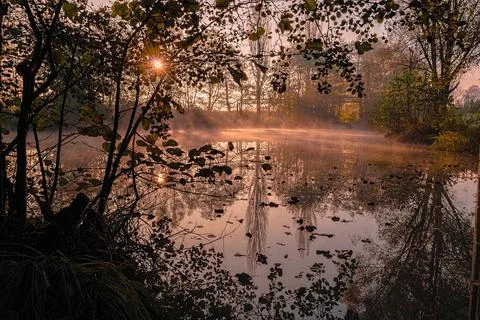 Dawn over the pond Stock Photos
