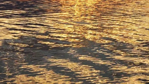 Dawn over the river Stock Footage 78299796