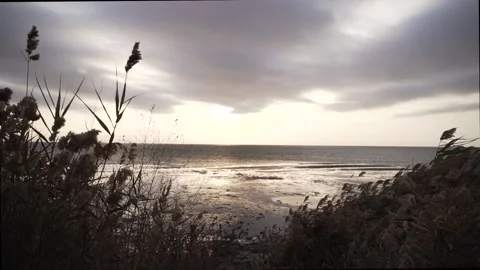 Dawn over the sea Stock Footage 142520475