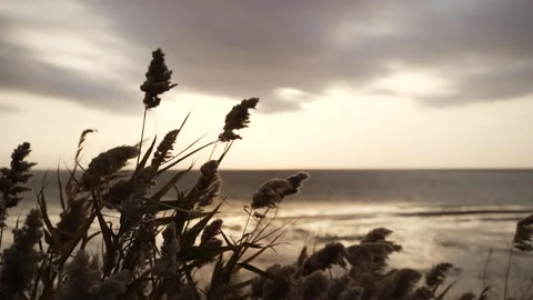 Dawn over the sea. Stock Footage 142520480