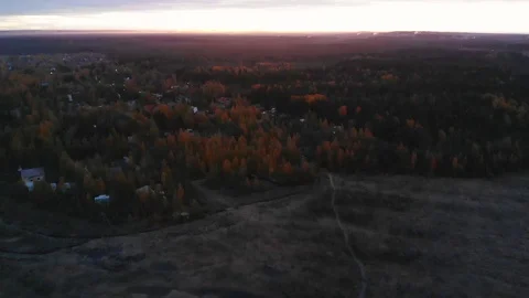 Dawn over the swamp and forest Stock Footage 129060016