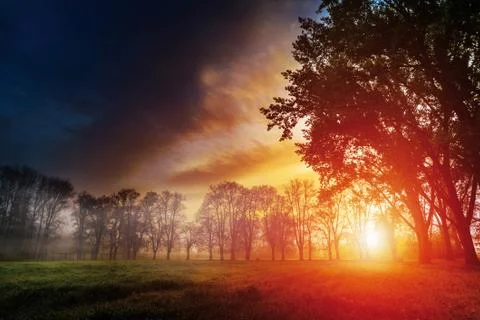 Dawn in a park Stock Photos