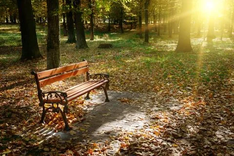 Dawn in park Fotos Stock