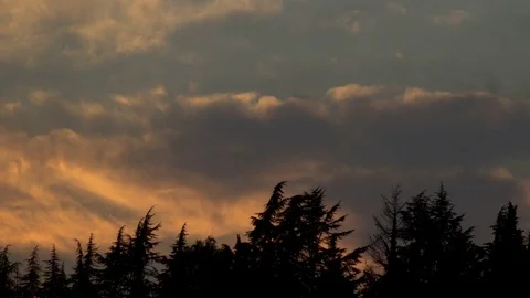 Dawn Parorama. Forest and clouds 스톡 동영상 83764357