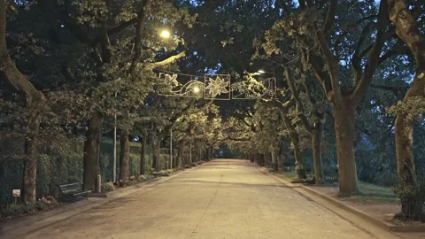 Dawn Path through Enchanted Park with Glowing Lights Stock Footage 247545288