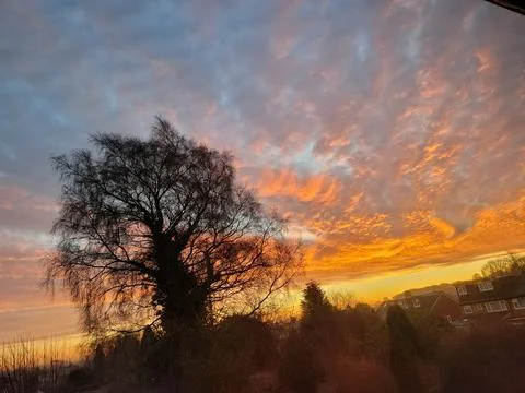 Dawn Stock Photos