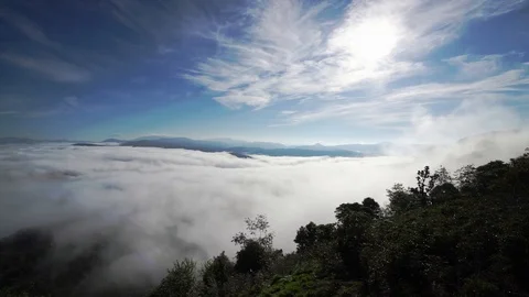 Dawn on the plateau pine forests covered with fog Stock Footage 108070635
