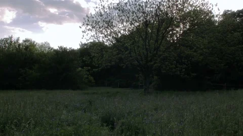 Dawn at the Ranch Stock Footage 238966341