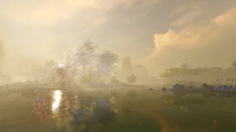 Dawn rays in the colors of spring 02 Stock-Footage 125352683