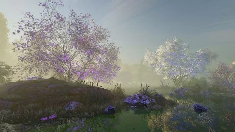 Dawn rays in the colors of spring 03 Stock-Footage 125352681