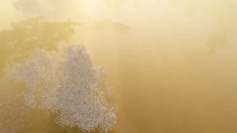 Dawn rays in the colors of spring 05 Stock-Footage 126183000