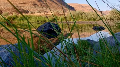 Dawn reflection pan grass John Day River Cottonwood Canyon Oregon 08 Stock Footage 81991383