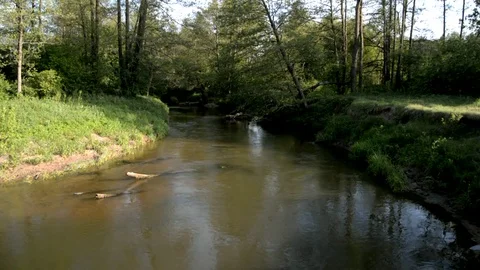 Dawn on the river and the forest Stock Footage 76243647