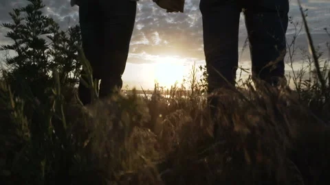 Dawn on the river bank 4 Stock Footage 107904752
