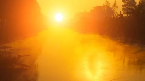 Dawn on the river with dew Stock Photos