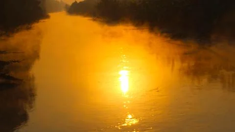 Dawn on the river with dew Stock Photos