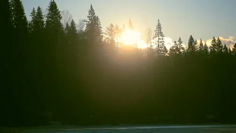 Dawn on the river 库存影片 106604561