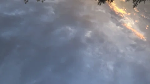 Dawn on the River Snov, forest, sky 動画素材 109449975
