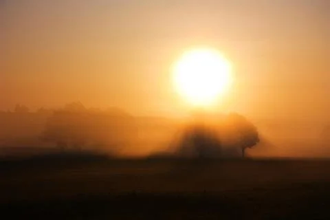 Dawn, rural landscape Stock Photos