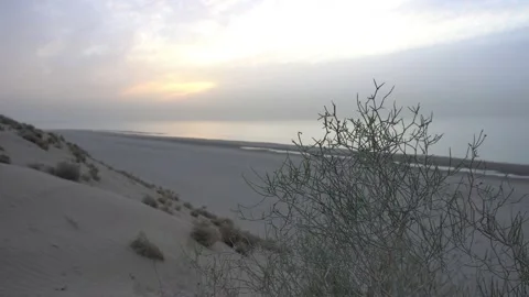 Dawn on the sandy beach of the sea. View of bush. Vídeos de archivo 168218680