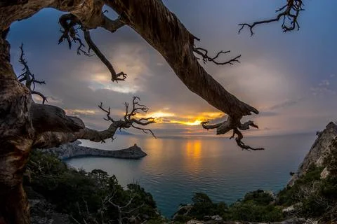 Dawn by the sea Stock Photos