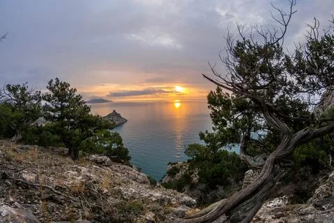 Dawn by the sea Stock Photos