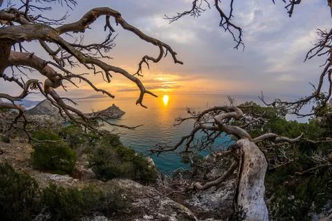 Dawn by the sea Foto stock