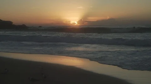 Dawn with seagulls Stock Footage 107070075