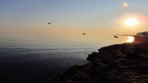 Dawn at the seaside Stock Footage 70140183