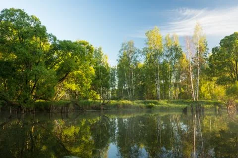 Dawn on the slow river Foto stock