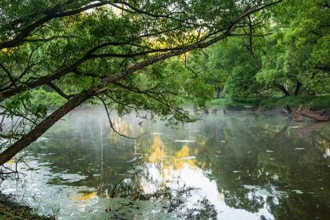 Dawn on the slow river Stock Photos