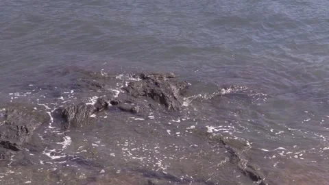 Dawn sparkles on waves at a rocky shore Stock Footage 323792838