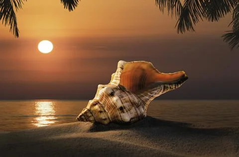 Dawn sun rays shine through the seashell on the sandy shore. 写真素材