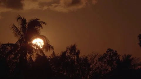 Dawn, the sun rises from the branches in accelerated mode Stockbeeldmateriaal 129520922